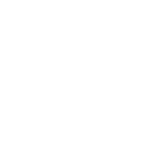 أعضاء فريق العمل